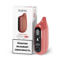 Электронная сигарета PLONQ MAX PRO 10000 затяжек Малина мята